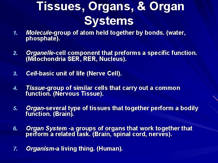 Tissues, Organs, & Organ Systems 1. Molecule-group of atom held together by bonds. (water,