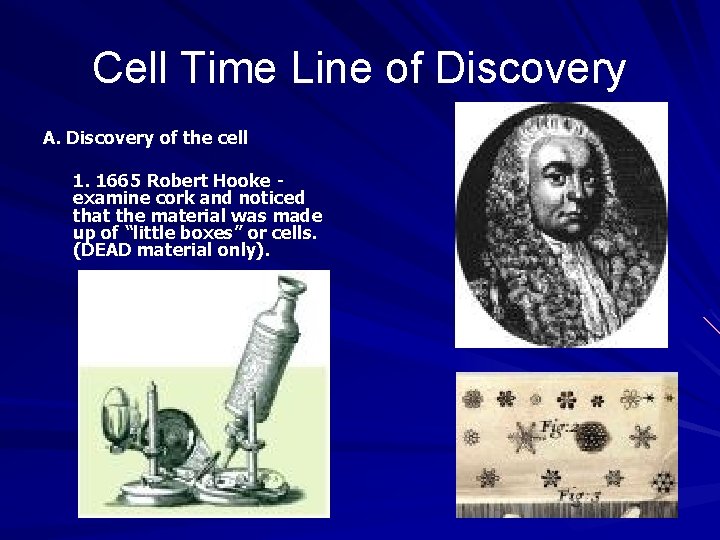 Cell Time Line of Discovery A. Discovery of the cell 1. 1665 Robert Hooke