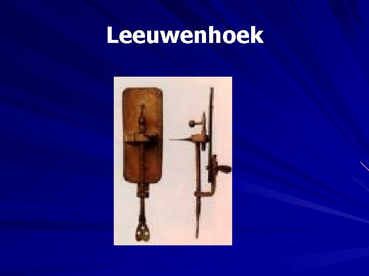 Leeuwenhoek 