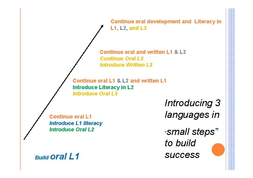 Continue oral development and Literacy in L 1, L 2, and L 3 Continue