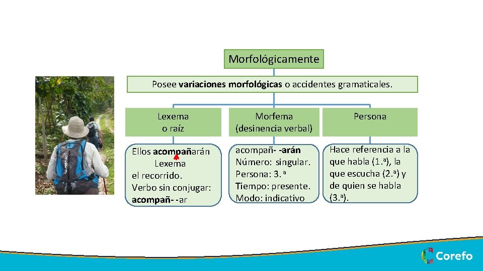 Morfológicamente Posee variaciones morfológicas o accidentes gramaticales. 5/7/2020 Lexema o raíz Morfema (desinencia verbal)