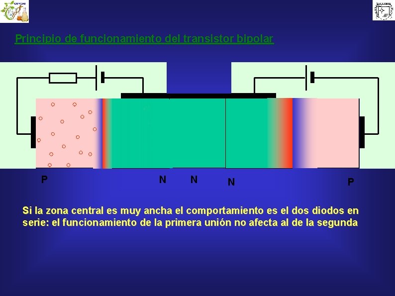 Principio de funcionamiento del transistor bipolar P N N N P Si la zona