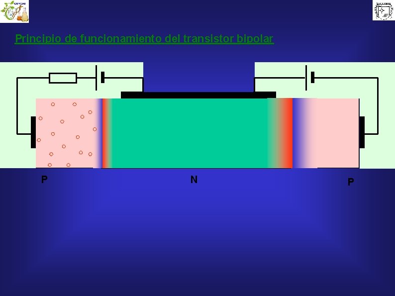 Principio de funcionamiento del transistor bipolar P N P 