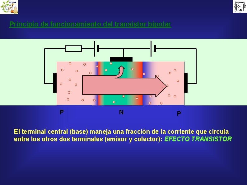 Principio de funcionamiento del transistor bipolar P N P El terminal central (base) maneja