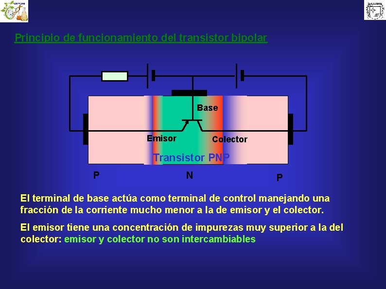 Principio de funcionamiento del transistor bipolar Base Emisor Colector Transistor PNP P N P