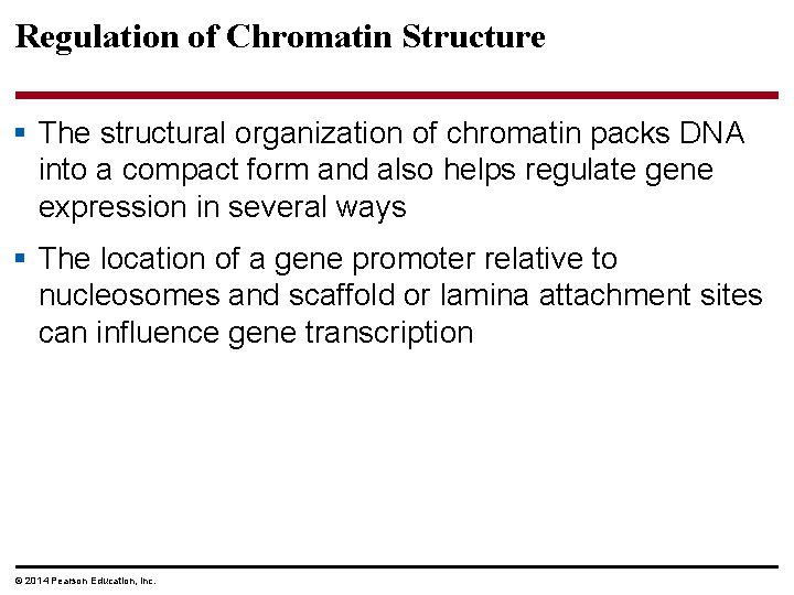 Regulation of Chromatin Structure § The structural organization of chromatin packs DNA into a