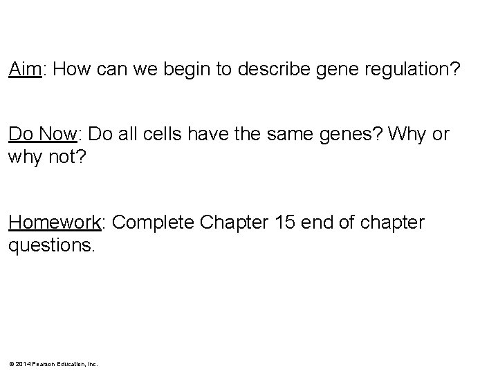 Aim: How can we begin to describe gene regulation? Do Now: Do all cells