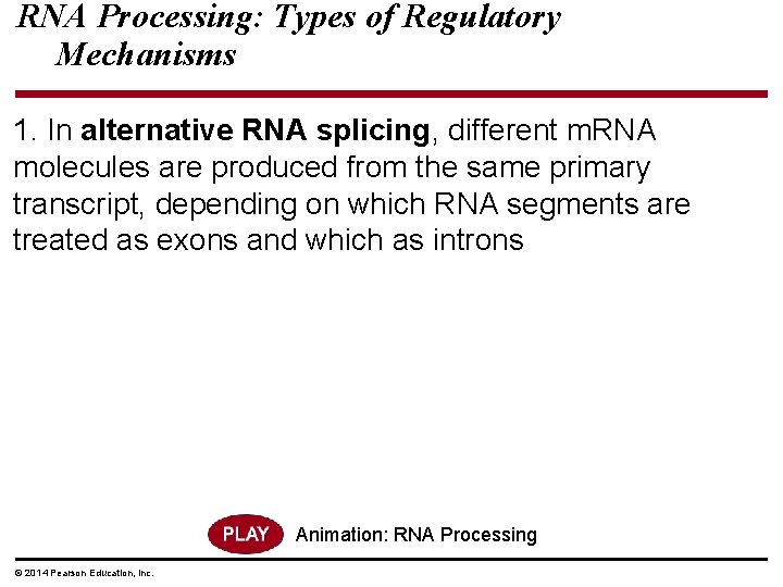 RNA Processing: Types of Regulatory Mechanisms 1. In alternative RNA splicing, different m. RNA
