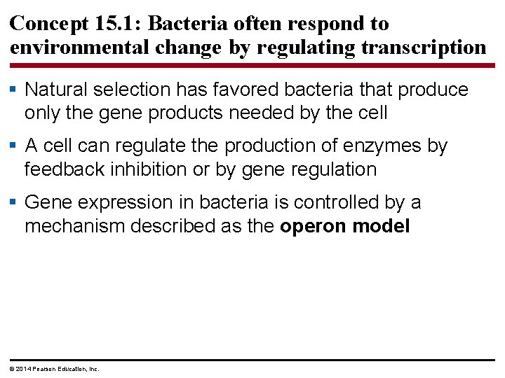 Concept 15. 1: Bacteria often respond to environmental change by regulating transcription § Natural