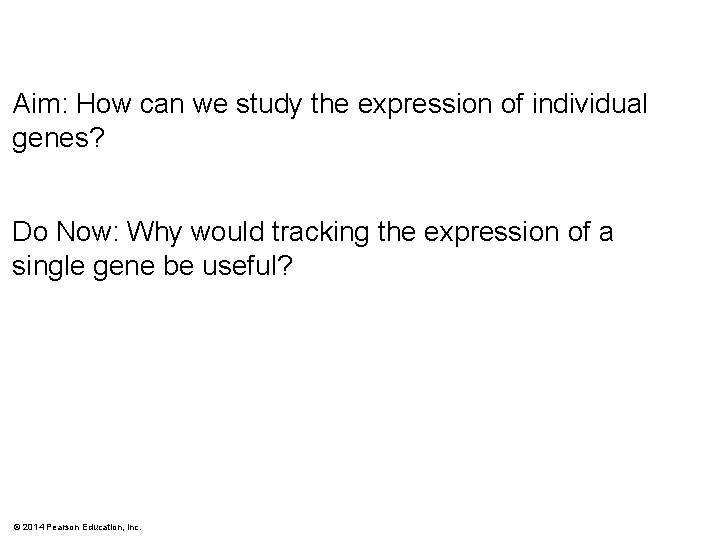 Aim: How can we study the expression of individual genes? Do Now: Why would