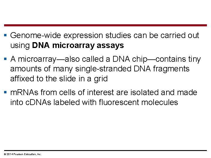 § Genome-wide expression studies can be carried out using DNA microarray assays § A