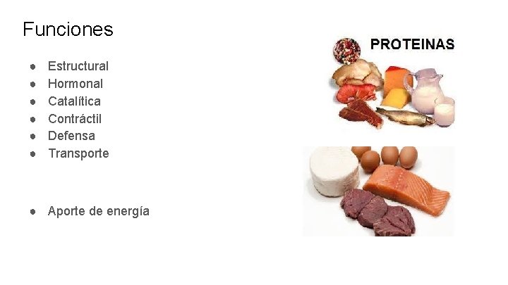 Funciones ● ● ● Estructural Hormonal Catalítica Contráctil Defensa Transporte ● Aporte de energía