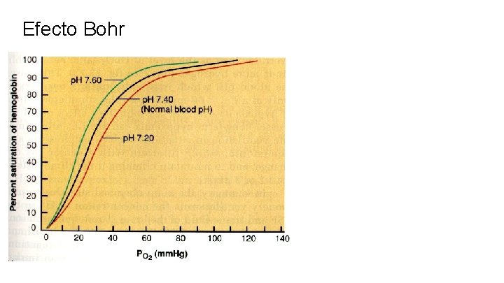 Efecto Bohr 