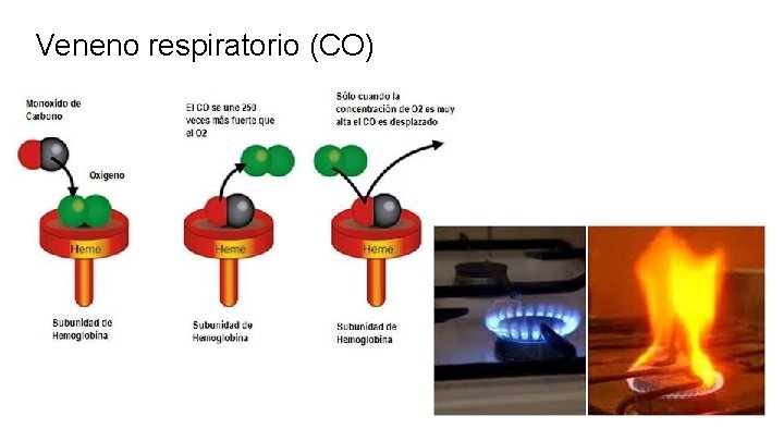 Veneno respiratorio (CO) 