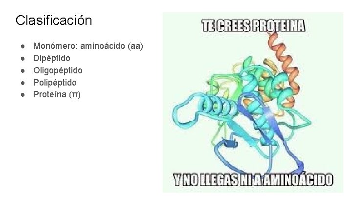 Clasificación ● ● ● Monómero: aminoácido (aa) Dipéptido Oligopéptido Polipéptido Proteína (π) 