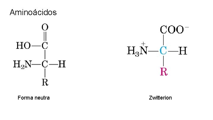 Aminoácidos Forma neutra Zwitterion 