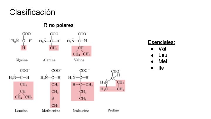 Clasificación R no polares Esenciales: ● Val ● Leu ● Met ● Ile 