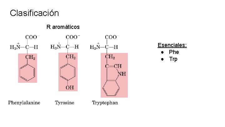 Clasificación R aromáticos Esenciales: ● Phe ● Trp 