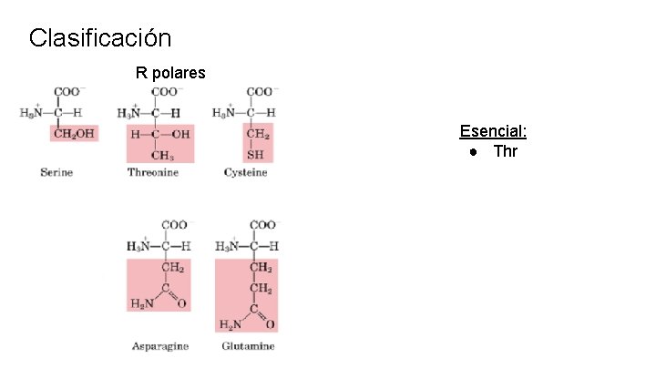 Clasificación R polares Esencial: ● Thr 