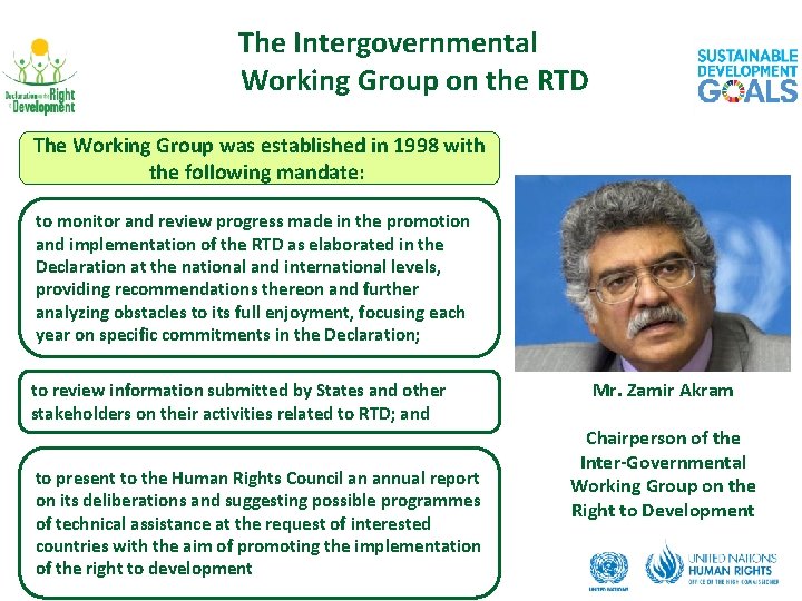 The Intergovernmental Working Group on the RTD The Working Group was established in 1998