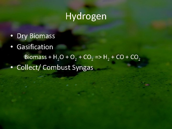 Hydrogen • Dry Biomass • Gasification Biomass + H 2 O + O 2