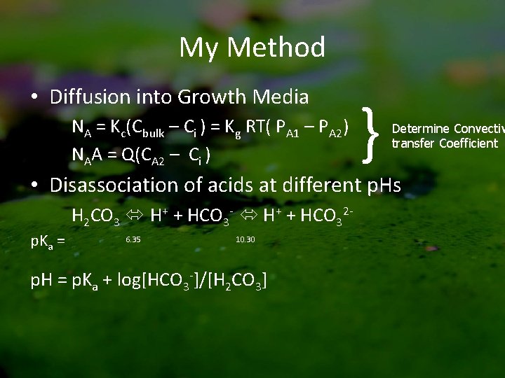 My Method • Diffusion into Growth Media NA = Kc(Cbulk – Ci ) =