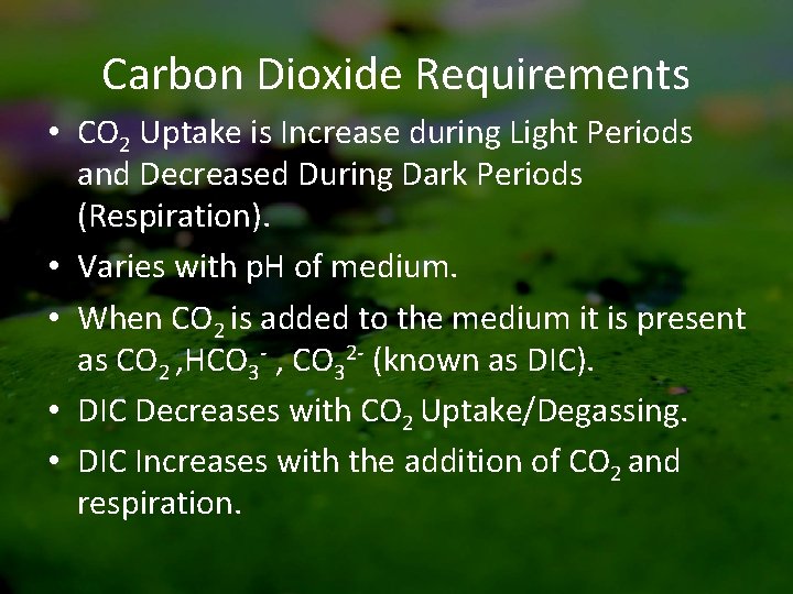 Carbon Dioxide Requirements • CO 2 Uptake is Increase during Light Periods and Decreased