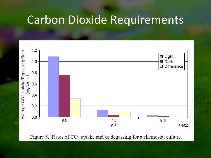 Carbon Dioxide Requirements 