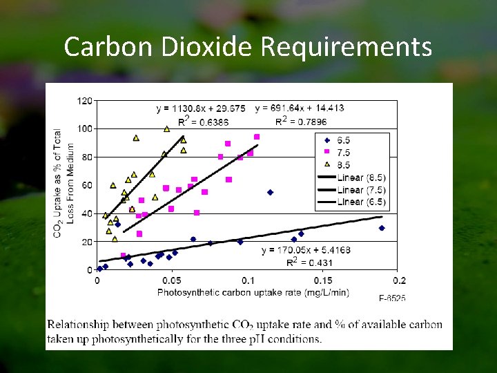 Carbon Dioxide Requirements 