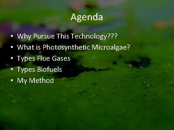 Agenda • • • Why Pursue This Technology? ? ? What is Photosynthetic Microalgae?