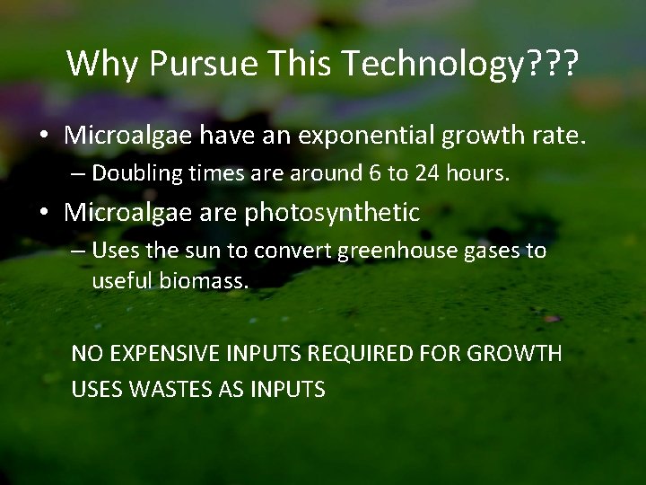 Why Pursue This Technology? ? ? • Microalgae have an exponential growth rate. –