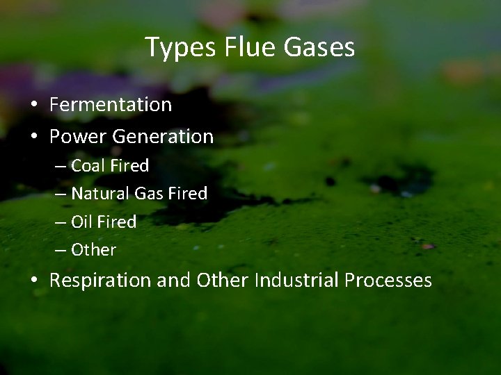 Types Flue Gases • Fermentation • Power Generation – Coal Fired – Natural Gas