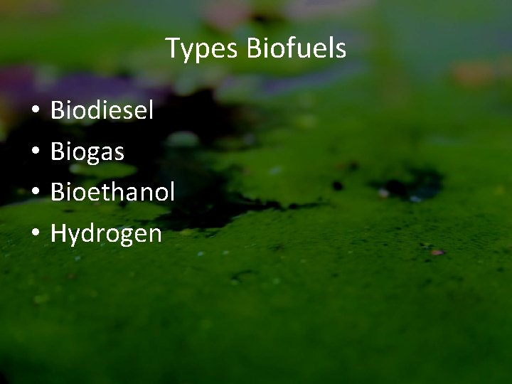 Types Biofuels • • Biodiesel Biogas Bioethanol Hydrogen 