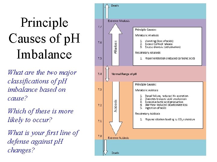 Principle Causes of p. H Imbalance What are the two major classifications of p.