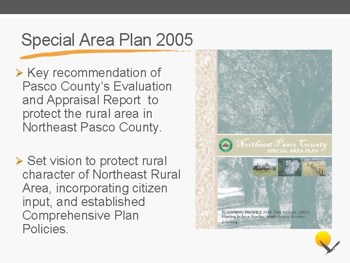Special Area Plan 2005 Ø Key recommendation of Pasco County’s Evaluation and Appraisal Report