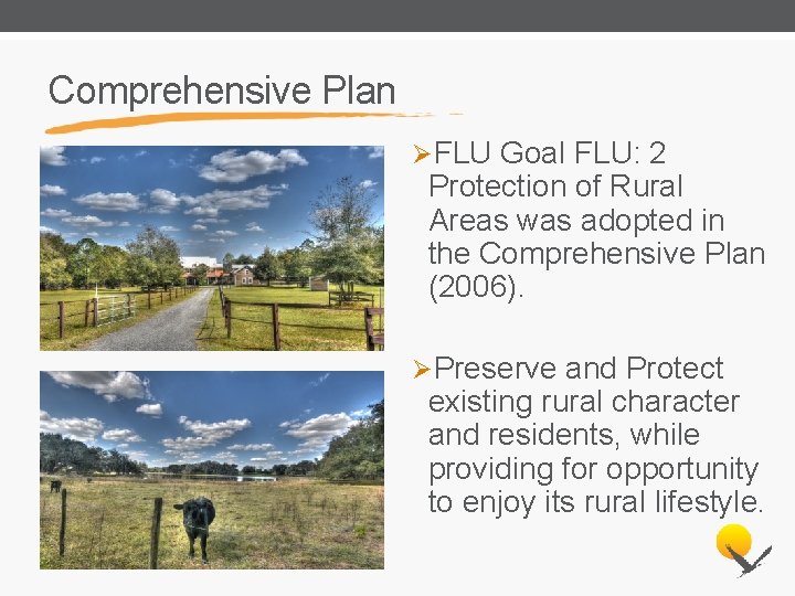 Comprehensive Plan ØFLU Goal FLU: 2 Protection of Rural Areas was adopted in the