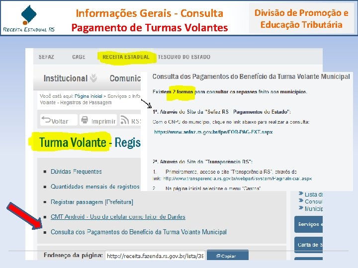 Informações Gerais - Consulta Pagamento de Turmas Volantes Divisão de Promoção e Educação Tributária