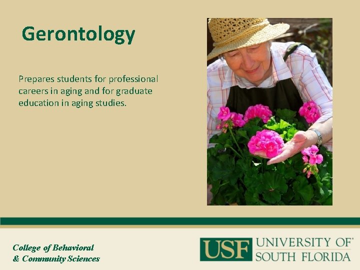 Gerontology Prepares students for professional careers in aging and for graduate education in aging