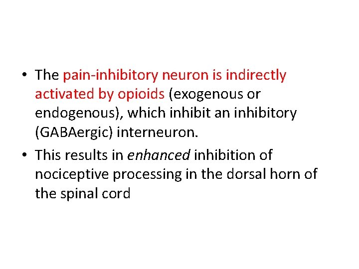  • The pain-inhibitory neuron is indirectly activated by opioids (exogenous or endogenous), which