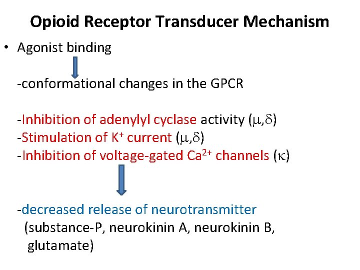 Opioid Receptor Transducer Mechanism • Agonist binding -conformational changes in the GPCR -Inhibition of