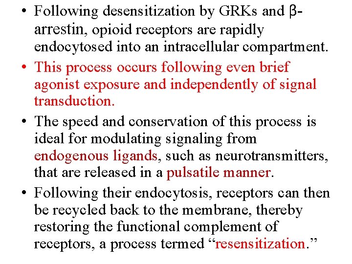  • Following desensitization by GRKs and βarrestin, opioid receptors are rapidly endocytosed into