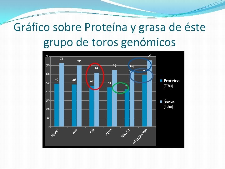 Gráfico sobre Proteína y grasa de éste grupo de toros genómicos 80 76 73