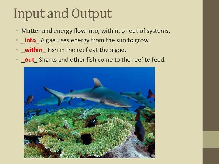 Input and Output • • Matter and energy flow into, within, or out of