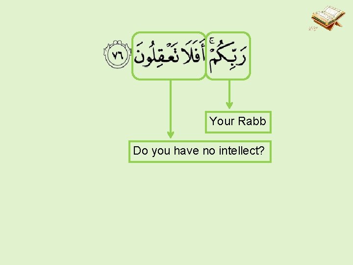 Your Rabb Do you have no intellect? 