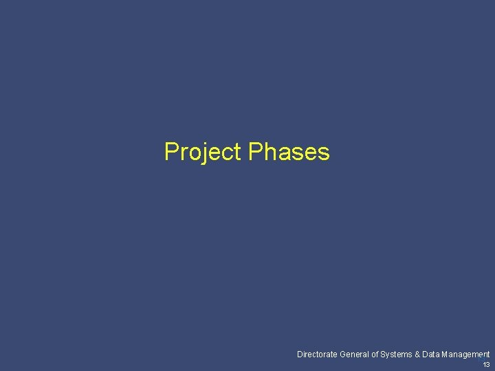 Project Phases Pricewaterhouse. Coopers Directorate General of Systems & Data Management 13 13 