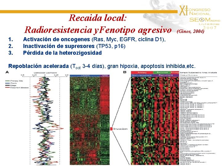 Recaida local: Radioresistencia y. Fenotipo agresivo 1. 2. 3. (Ginos, 2004) Activación de oncogenes