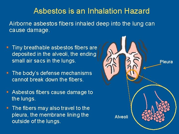 Asbestos is an Inhalation Hazard Airborne asbestos fibers inhaled deep into the lung can