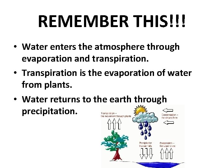 REMEMBER THIS!!! • Water enters the atmosphere through evaporation and transpiration. • Transpiration is