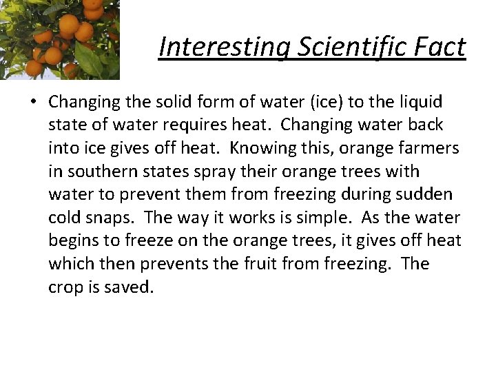 Interesting Scientific Fact • Changing the solid form of water (ice) to the liquid
