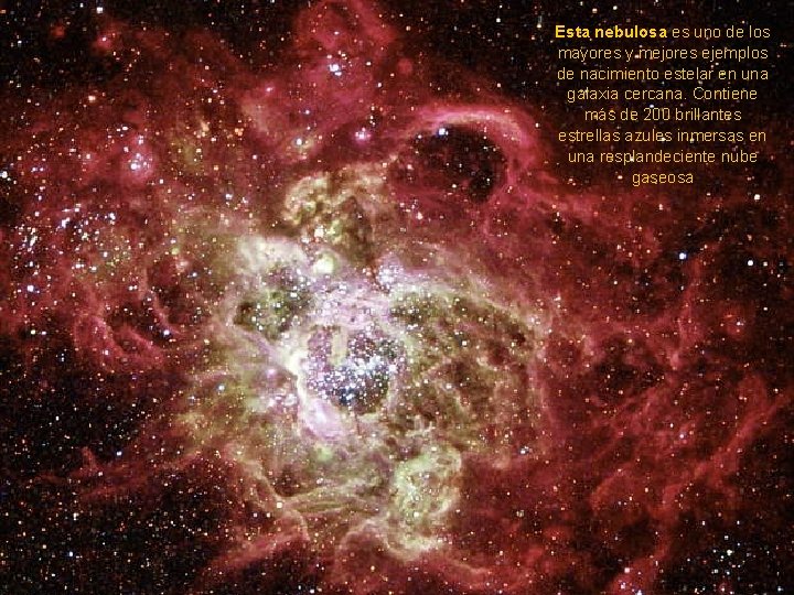 Esta nebulosa es uno de los mayores y mejores ejemplos de nacimiento estelar en